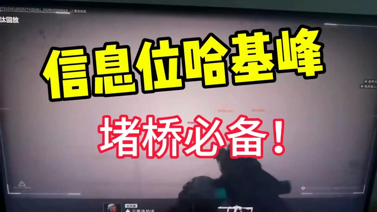 鸟兽兽已经过时了，信息位哈基峰才是堵桥的王！#三角洲行动