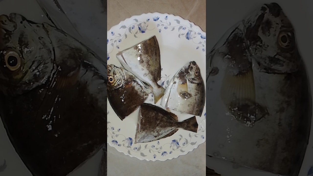 Quick & Easy To boil Fish no Spicy Just Salt #food #shots #fish
