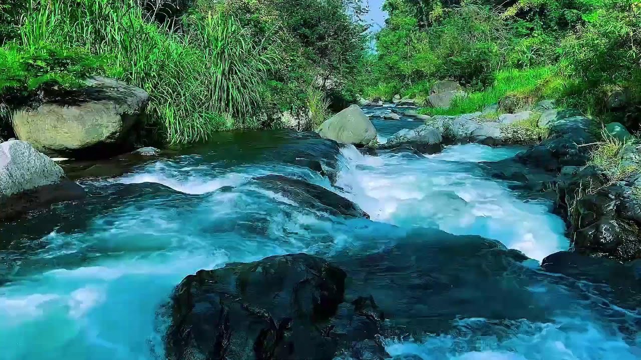 Flowing Mountain Stream Sounds, Forest River Calm Water, Sleep