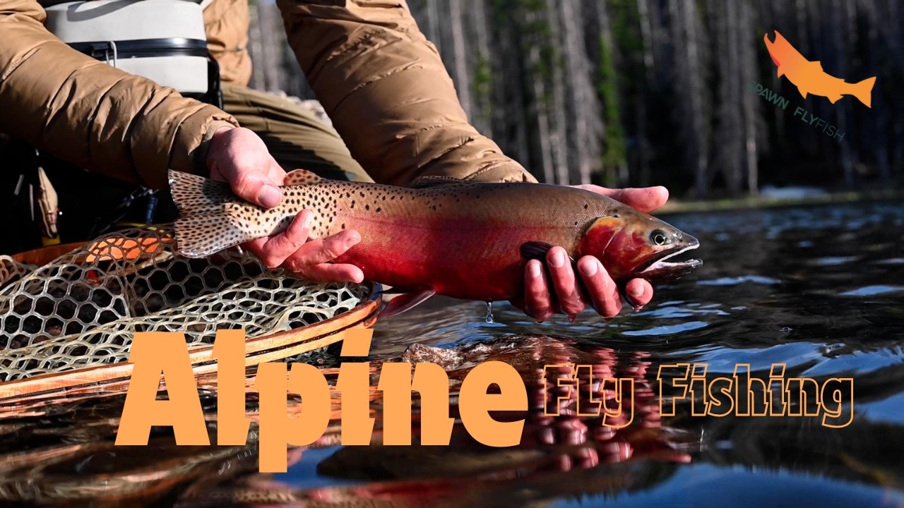 Alpine Lake Fly Fishing For Cutthroat