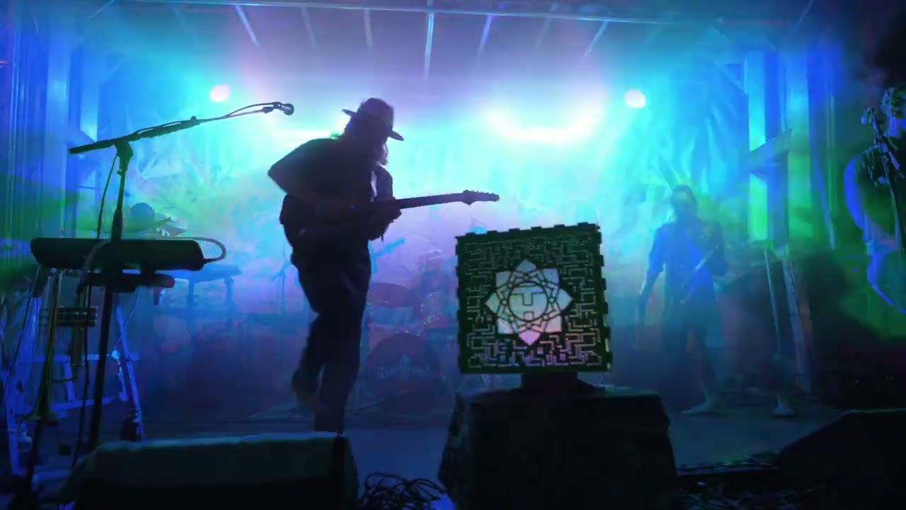 Welcome to the World of TreeHouse!