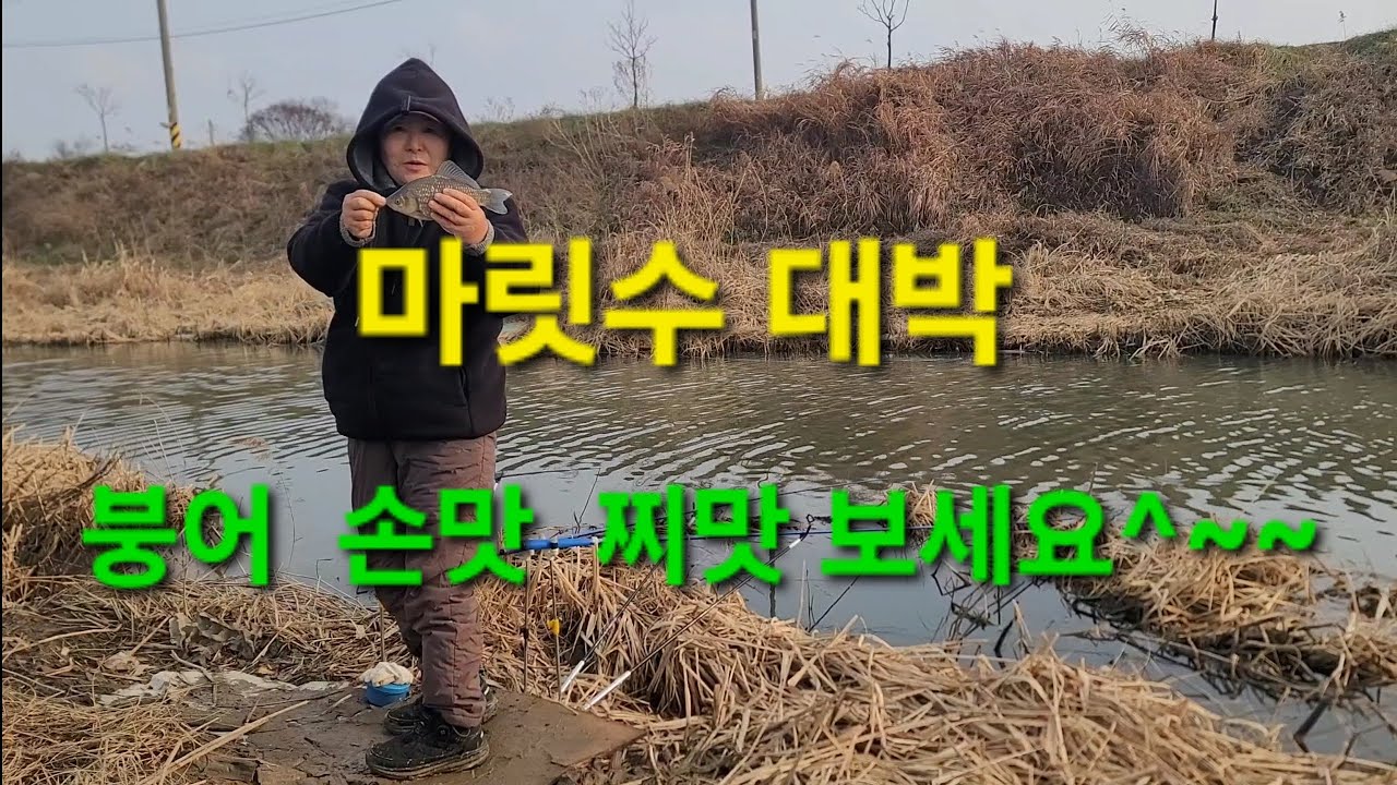 장월평천 붕어낚시 #노지낚시 #fishing 