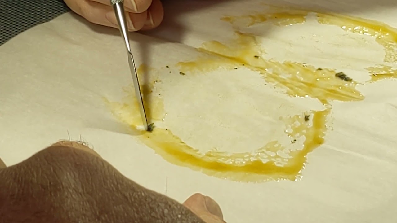 Pressing 4gms of Cheese Whiz flower by Liberty.