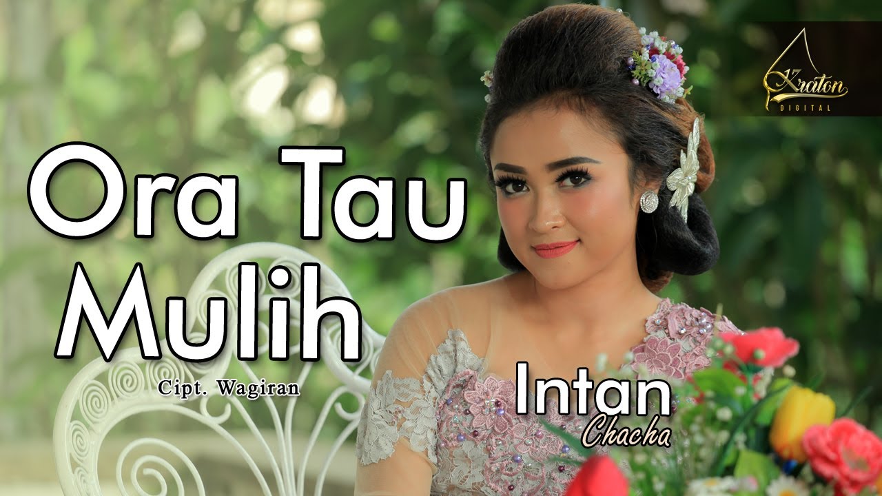 Intan Chacha - Ora Tau Mulih ( Official Music Video )