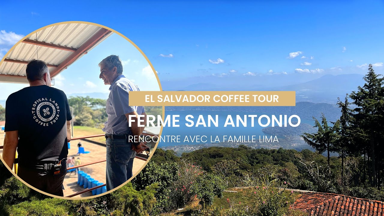 ☕ Plongez au cœur d’un café d’exception venu tout droit du Salvador !