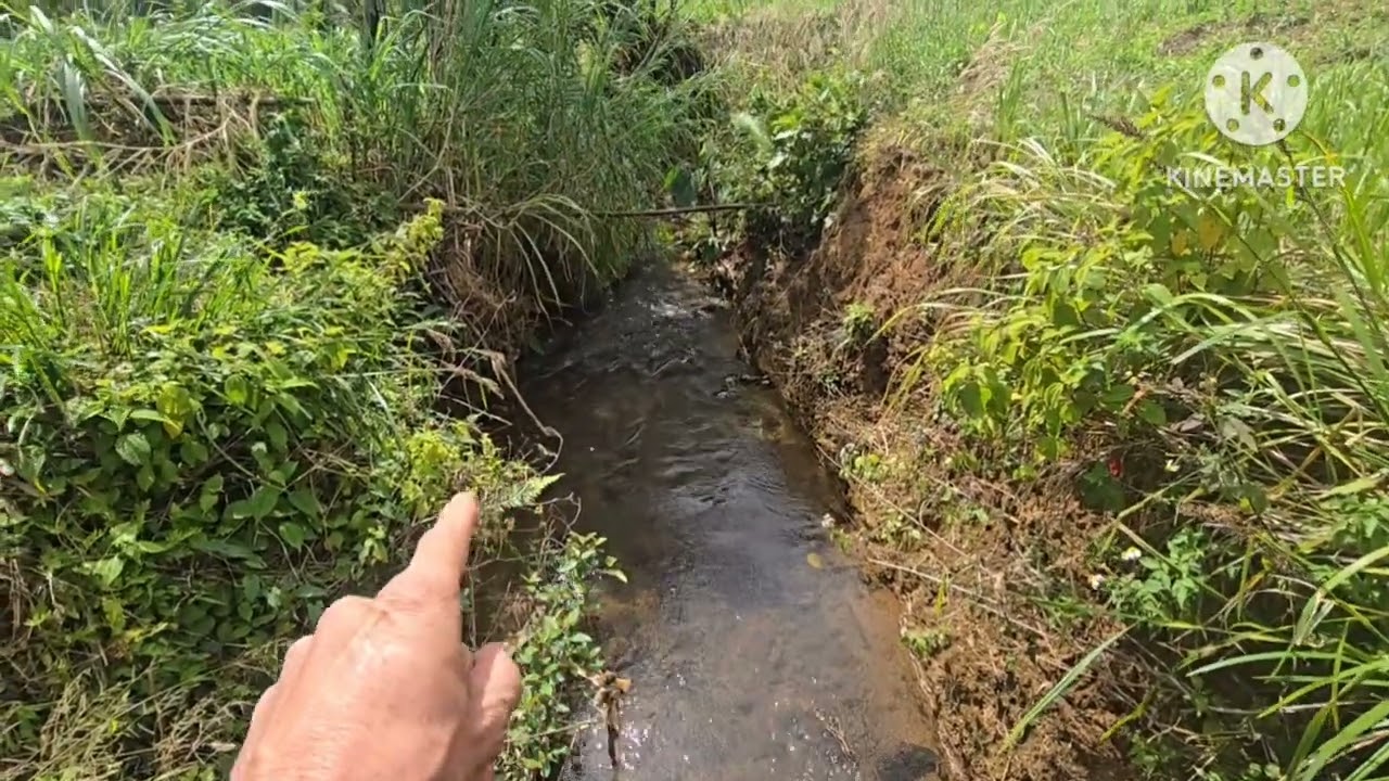 Quảng tân tuy đức đắc nông lâm đồng 3.6 ha nhà vườn sầu riêng 