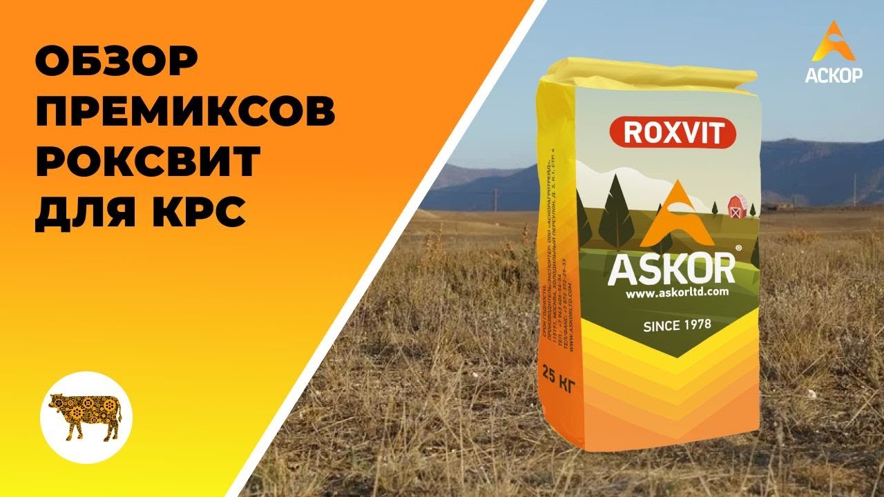 Обзор премиксов РОКСВИТ для КРС