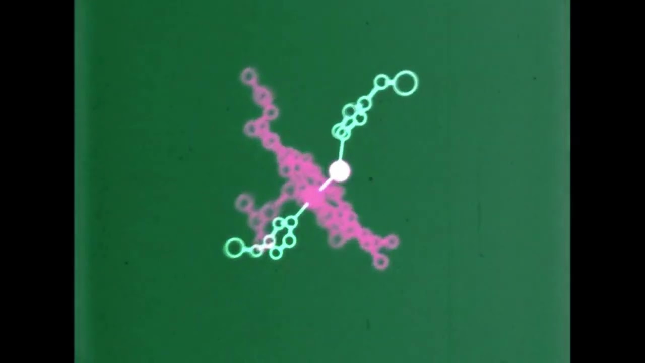 chroma.sys - the shape that breathes (The Senses Bureau - Myoglobin)