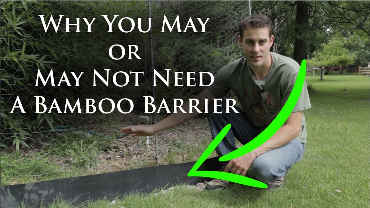 Do You Need a Bamboo Barrier? (Technical Info in Description)
