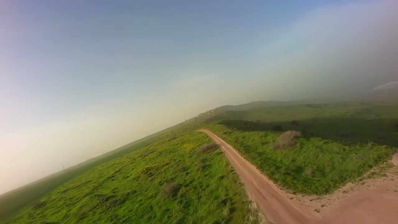 בשביל הפרות