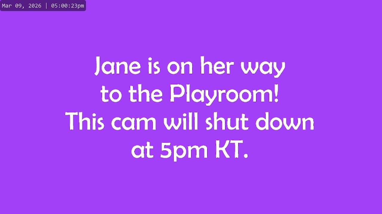 Kitkat Playroom: Meet cutie-pie Jane, from The Mary Poppins Family. A joyful, hydrocephalus kitten 🩷