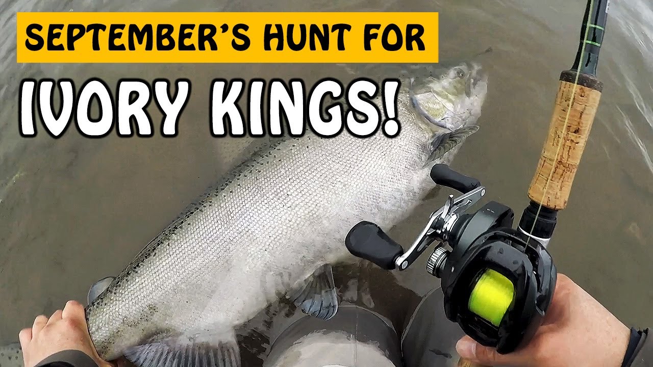 Searching for Early Season Chinook Salmon with Soft Beads | Fishing with Rod #salmonfishing #fishing