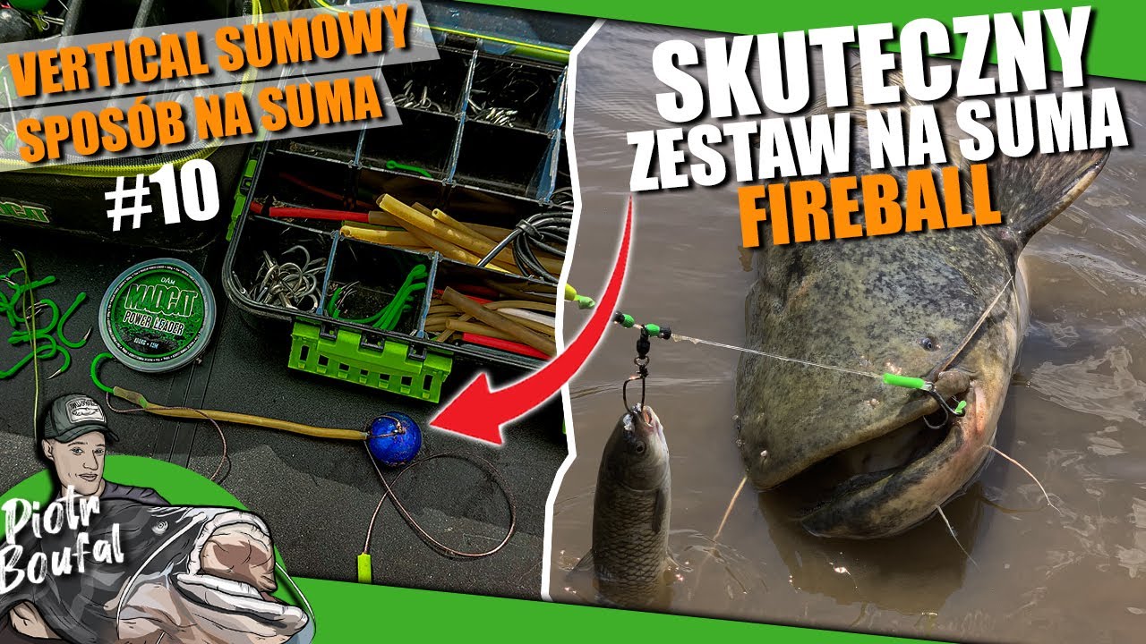 JAK ZŁOWIĆ SUMA? ZESTAW FIREBALL cz.1