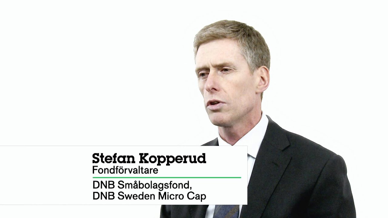 Vad tycker DNB att du ska investera i sm&aring;bolag?