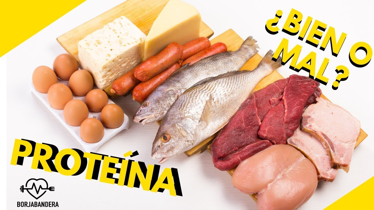 ¿Mucha proteína me hará vivir menos? Aquí la respuesta!