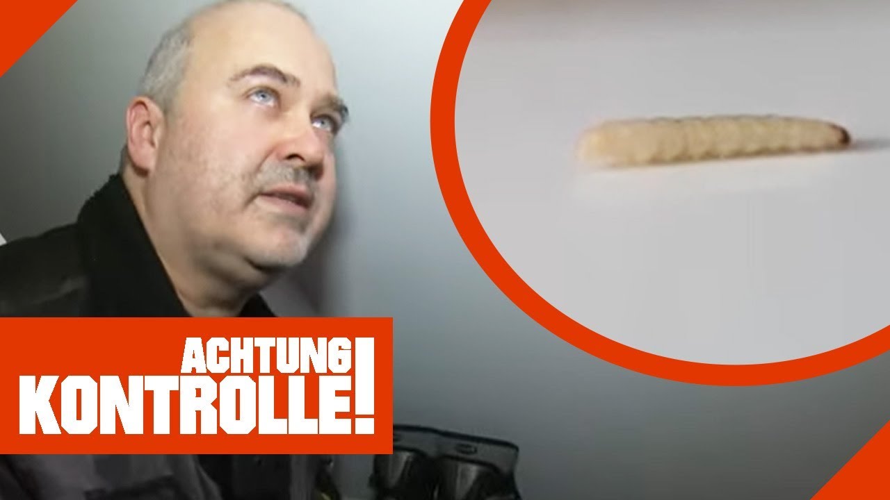 ABARTIG! Komplette Wohnung ist mit Motten befallen! 1/2 | Achtung Kontrolle | Kabel Eins