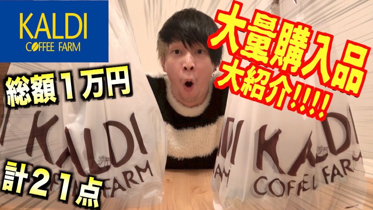【大量】KALDIの購入品21点すべて紹介!!!!!【新生活】