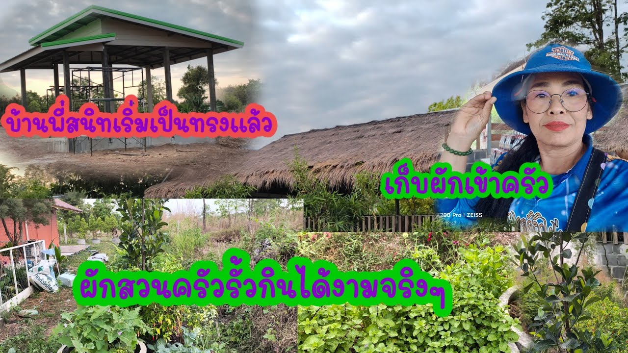 เดินเลาะรั้วรถน้ำผักสวนครัวรั้วกินได้เช้าวันนี้เก็บพริกเข้าครัว