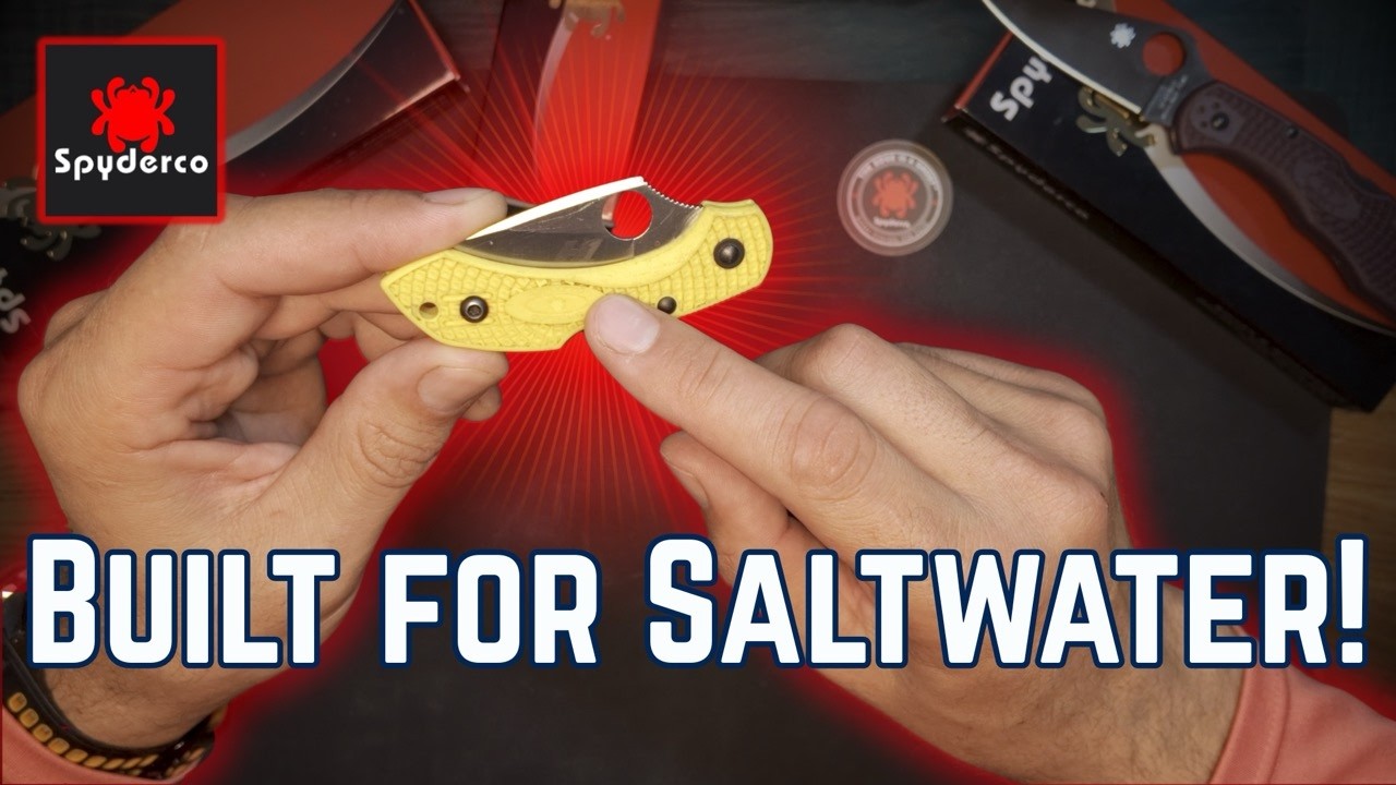 Don't buy this knife in Plain Edge.  Find out why. Dragonfly 2 Salt H1 Review