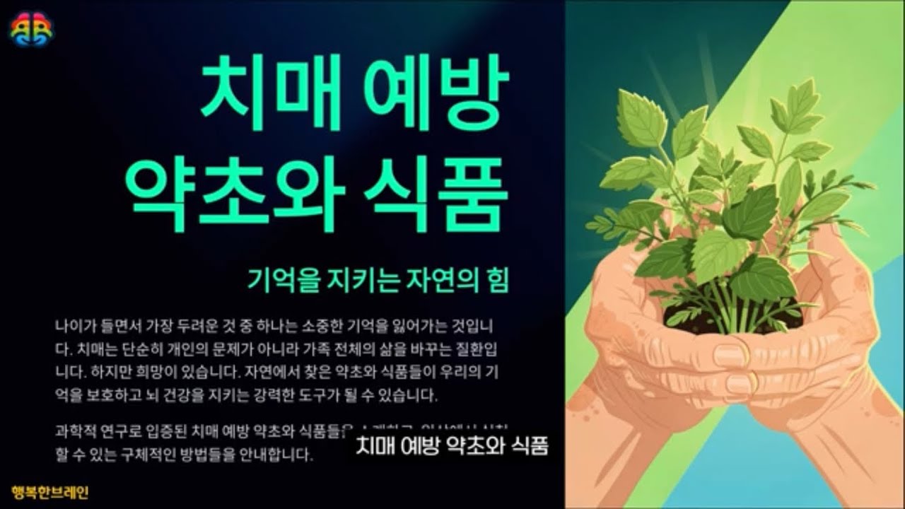 치매 예방 약초와 식품: 기억을 지키는 자연의 힘