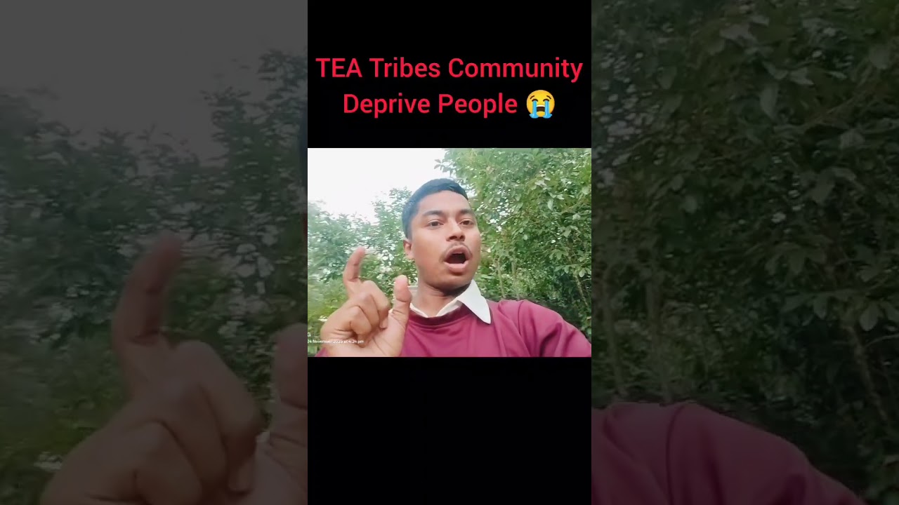 Tea Tribes Community Leader Thank You 🙏 