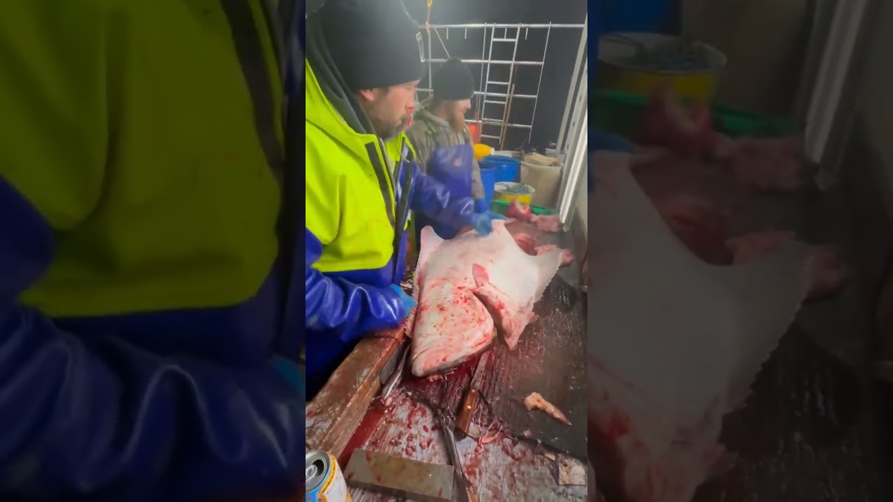 Fishing On the Deadliest Sea's of the Grand Banks,