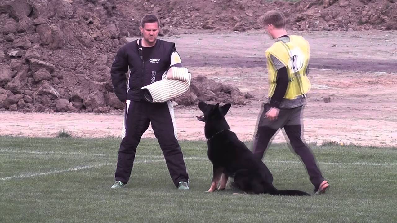 Passat Eqidius & Lukáš Vanta - Protection