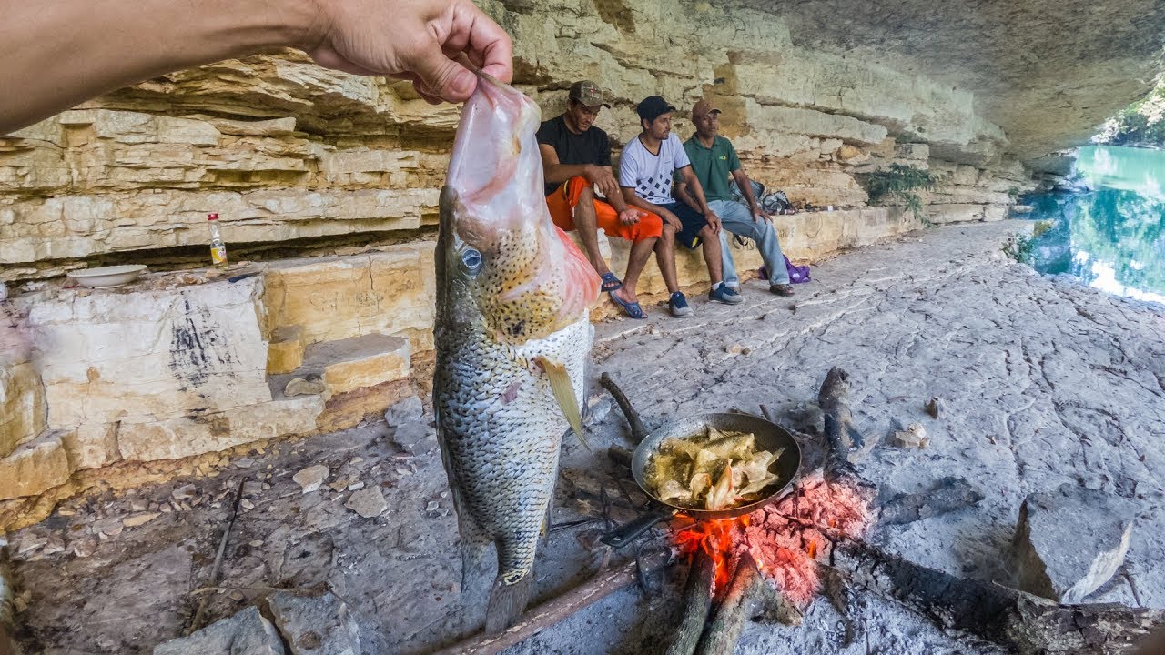 Cocinando Gigante Mojarra Tenguayaca Pesca y Cocina En El Río