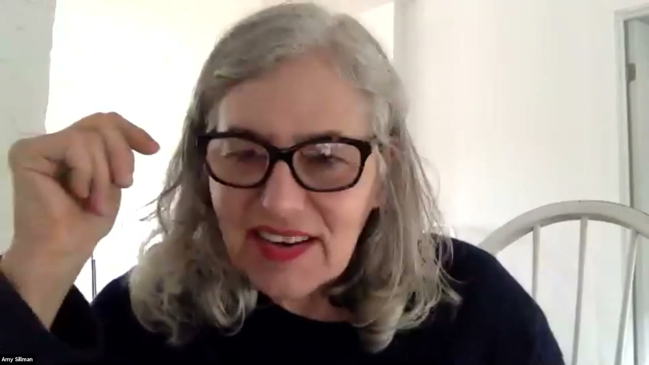 Video Screening and Live Q&A: Amy Sillman: After Metamorphoses