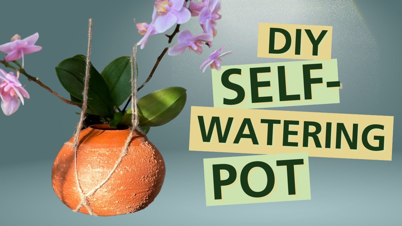 Pottery Wheel Magic: Make a Self-Watering Plant Pot with Wild Clay! #potterywheelthrowing
