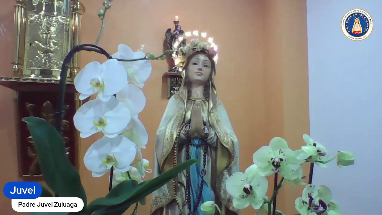San Juan Bosco, presbítero
