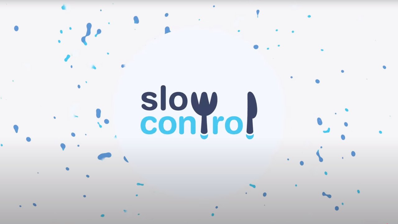Slow Control