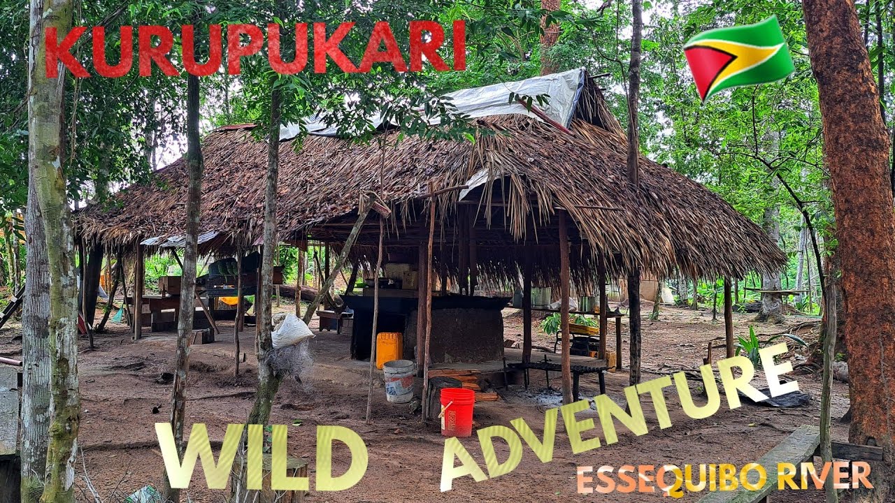 ADVENTURE up the ESSEQUIBO RIVER from KURUPUKARI.