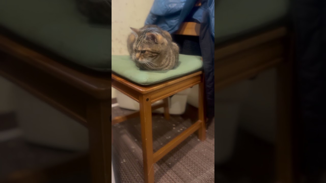 春風丸