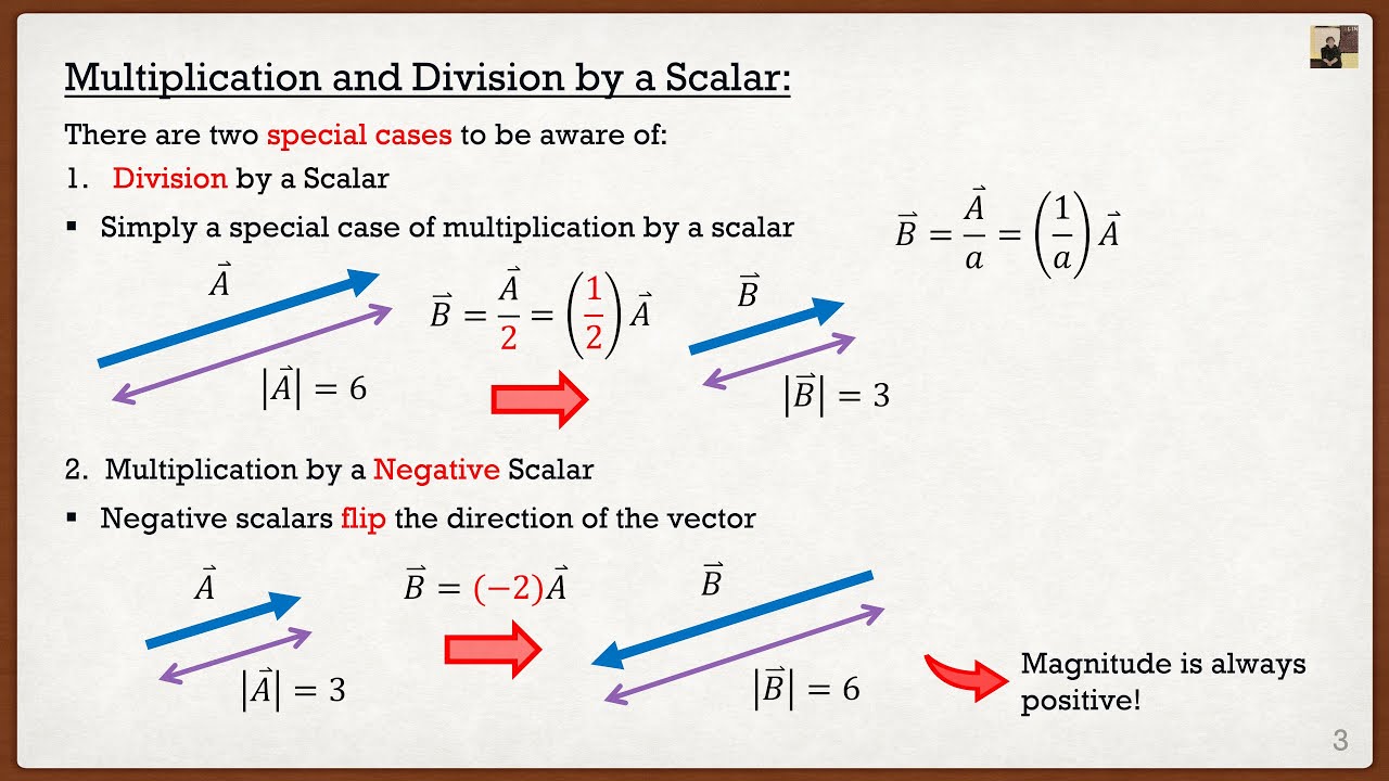Engineering Mechanics: Statics Theory | Vector Multiplication and Division by a Scalar