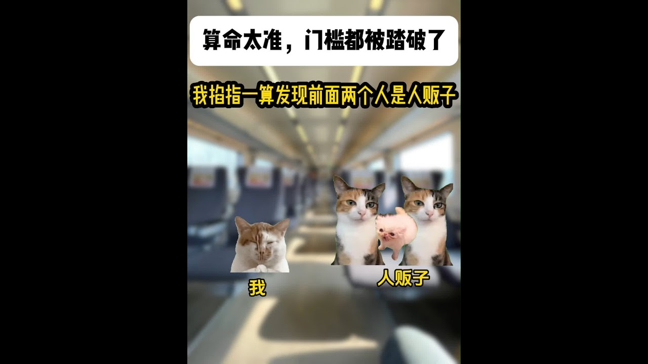 《北野大佬》 1-7集合集纯享版#猫meme #猫meme小剧场