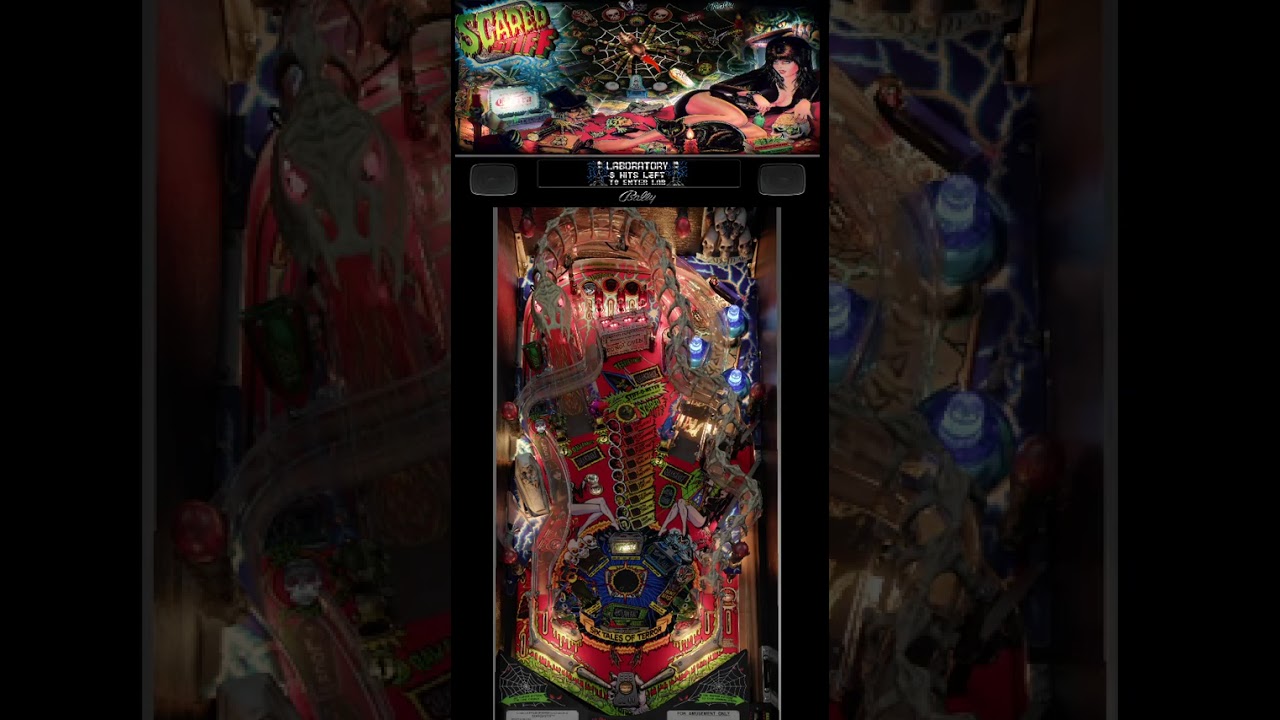 Scared Stiff Bally 1996 VPW v1 1 1