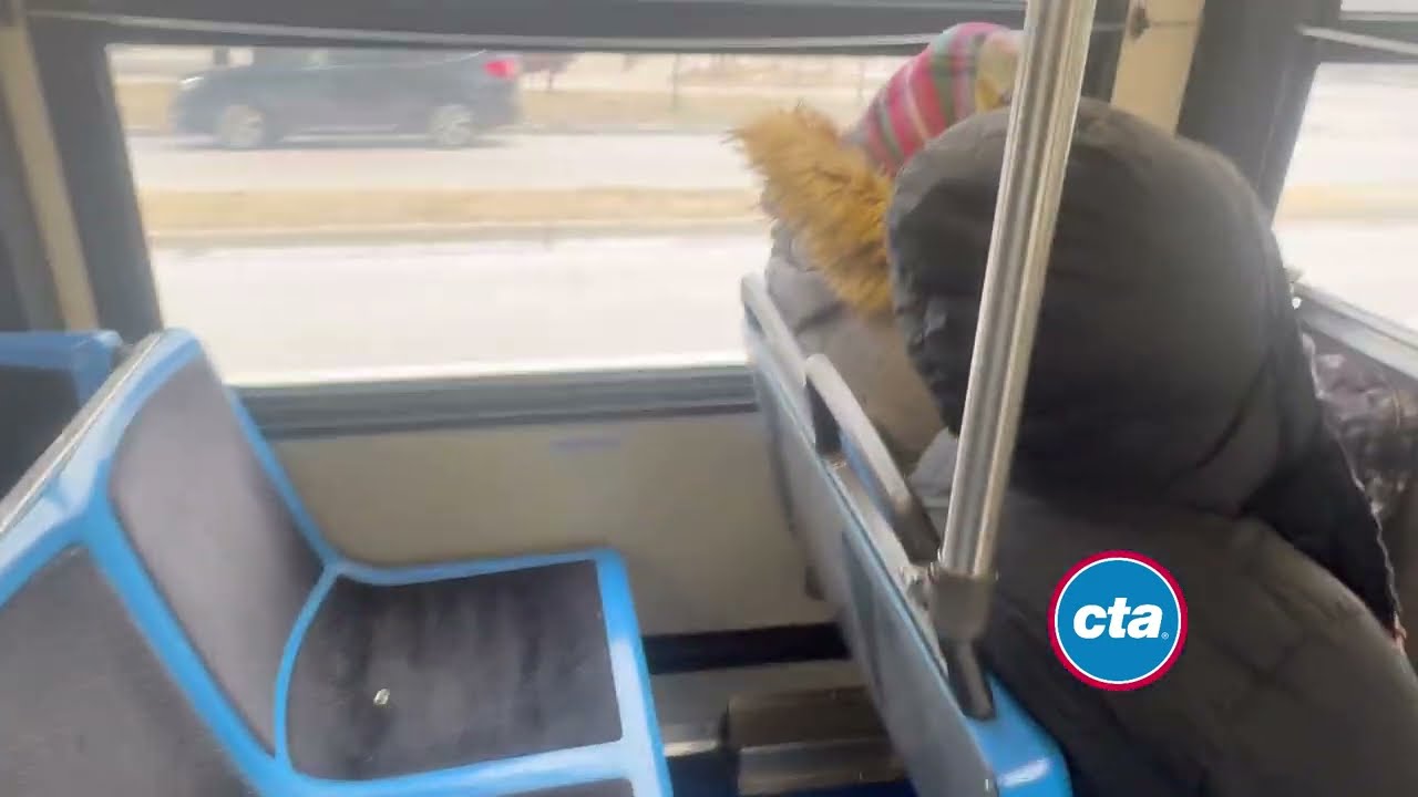 CTA 2006 New Flyer D40LF 1180 | 29 State From Roosevelt To 45th Street