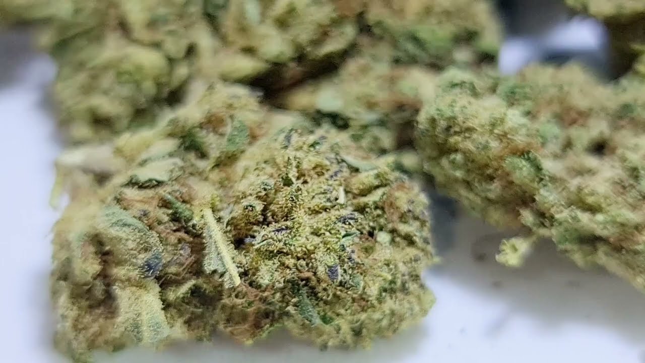 Super Citro Haze Glashaus CBD Bl&uuml;ten - vaporspirit.ch