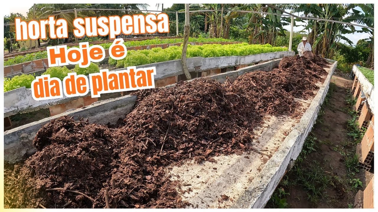 🍃 O Poder das Folhas Secas no Plantio de Coentro #hortasuspensa