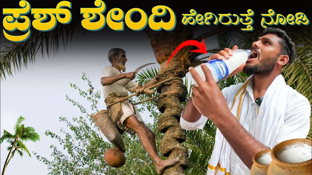 Coconut neera🥛ಕುಡಿದೆ | Kukke to Darmasthala | Cooking | #avatarshivavlogs #avatarshivaofficial