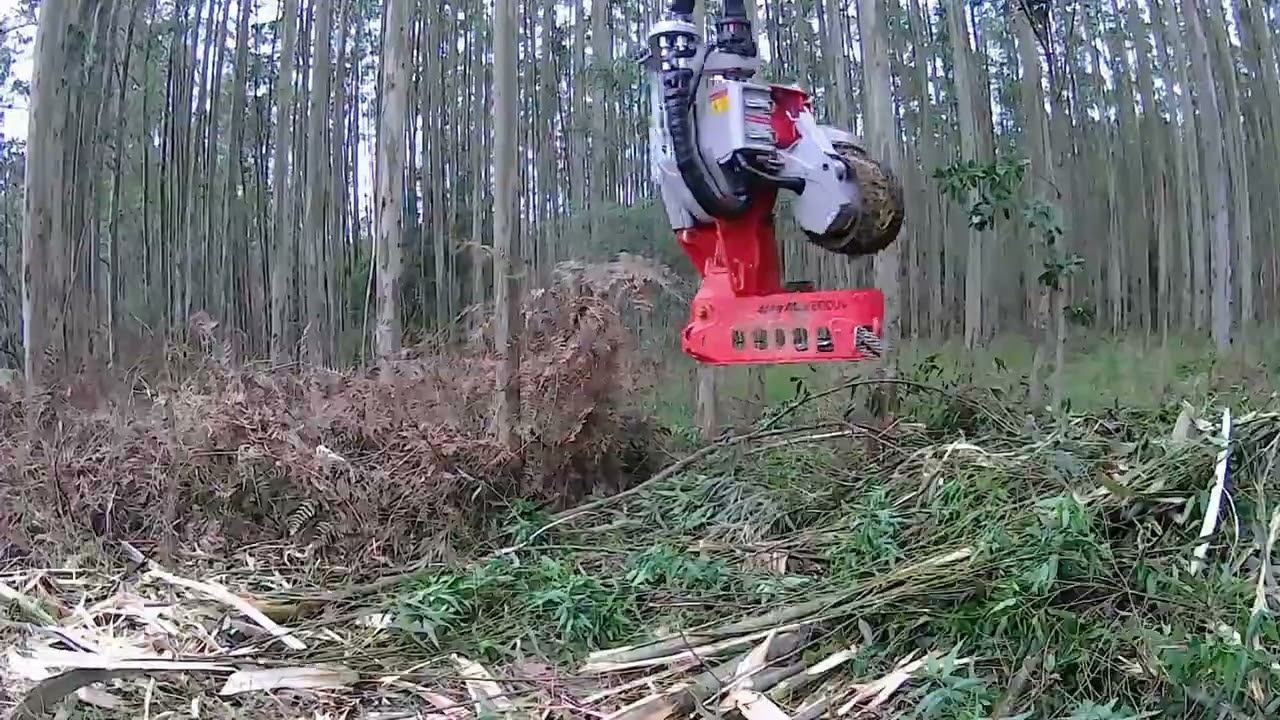 Cabeçote Log Max 6000V Harvster na colheita de Eucalipto