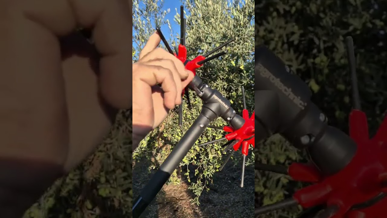 ماكنة قطف الزيتون المتطورة في البلاد