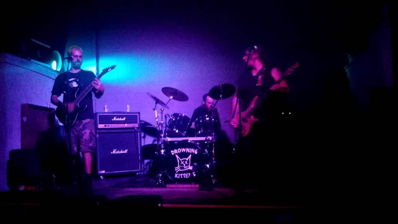 Local Punk Band 'Drowning Kittens'