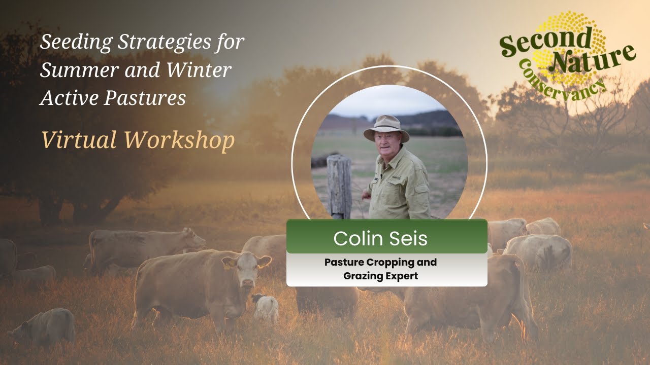Colin Seis: Seeding Strategies for Summer and Winter Active Pastures