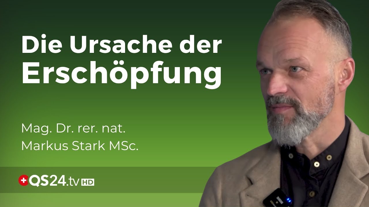 Nebennierenschwäche - grundlos energielos gibt es nicht | Dr. rer. nat. Markus Stark MSc. | QS24