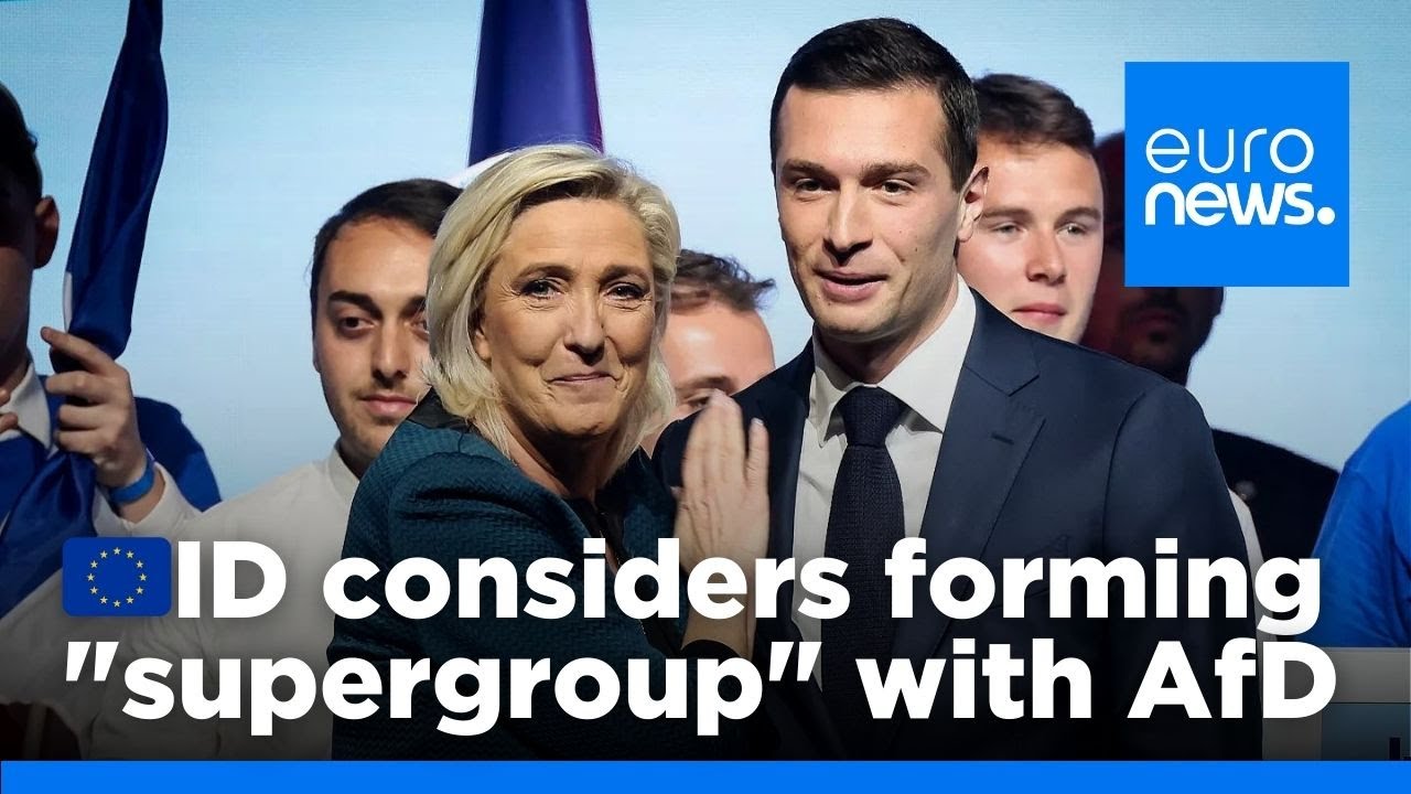 Reintegrating AfD into ID is not on the agenda, says French MEP Garraud | euronews 🇬🇧