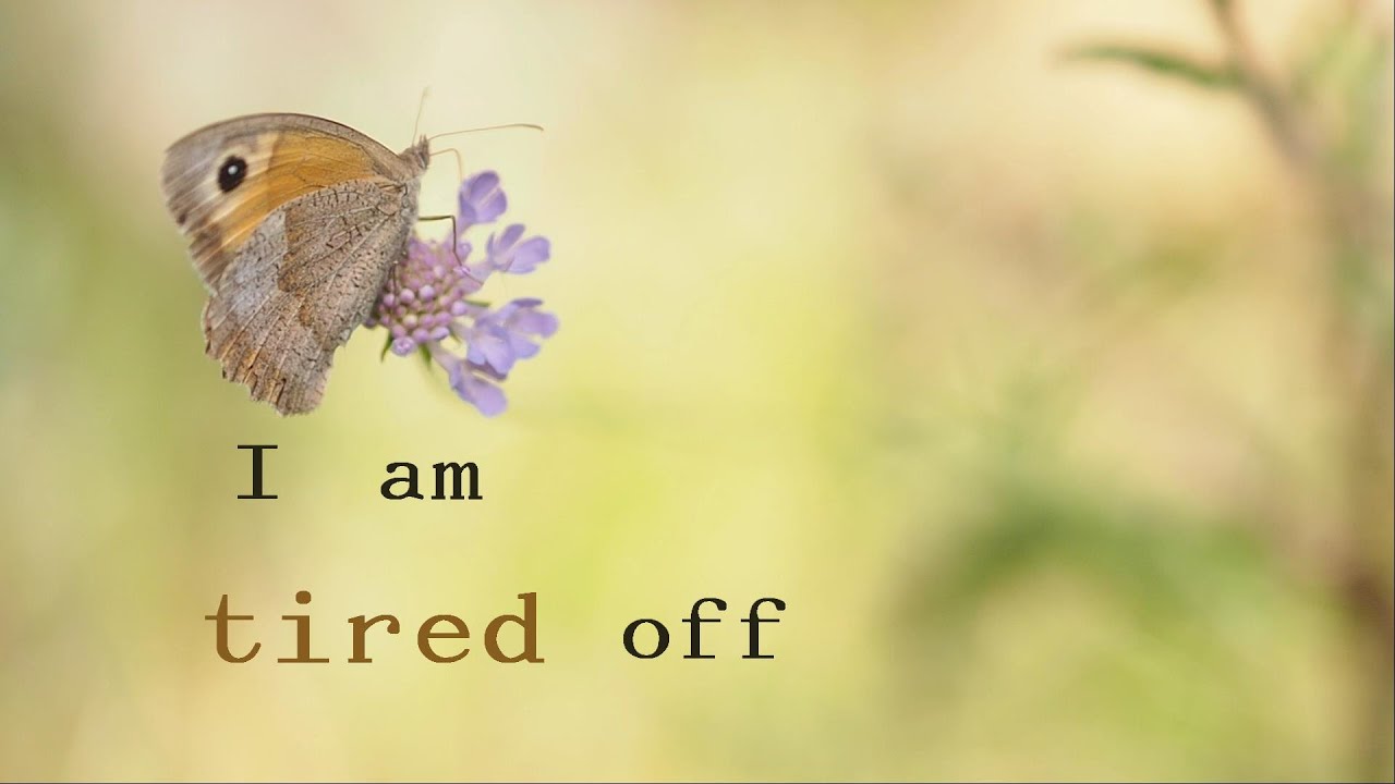 Burning Blossoms, Mr. Izreal - chill out (Lyric Video)
