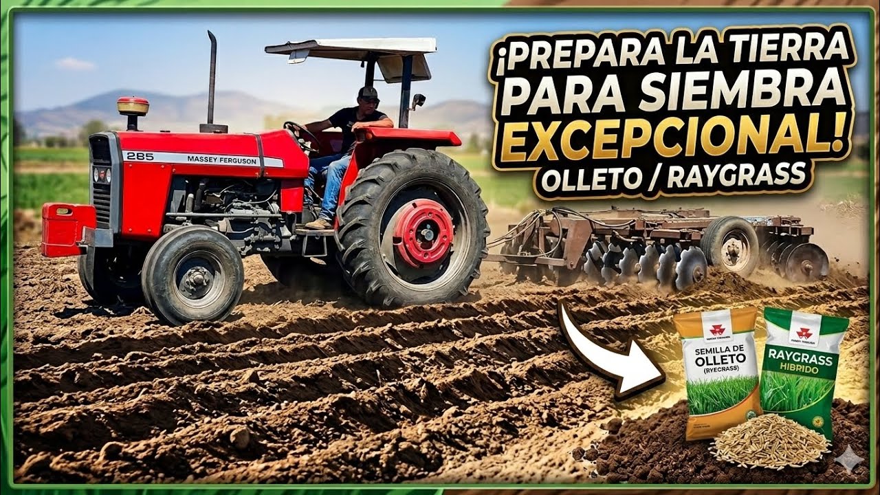 Preparando la Tierra para Olleto (Raigrass) 🌱🚜 | Rancho ET Vlog 🇲🇽