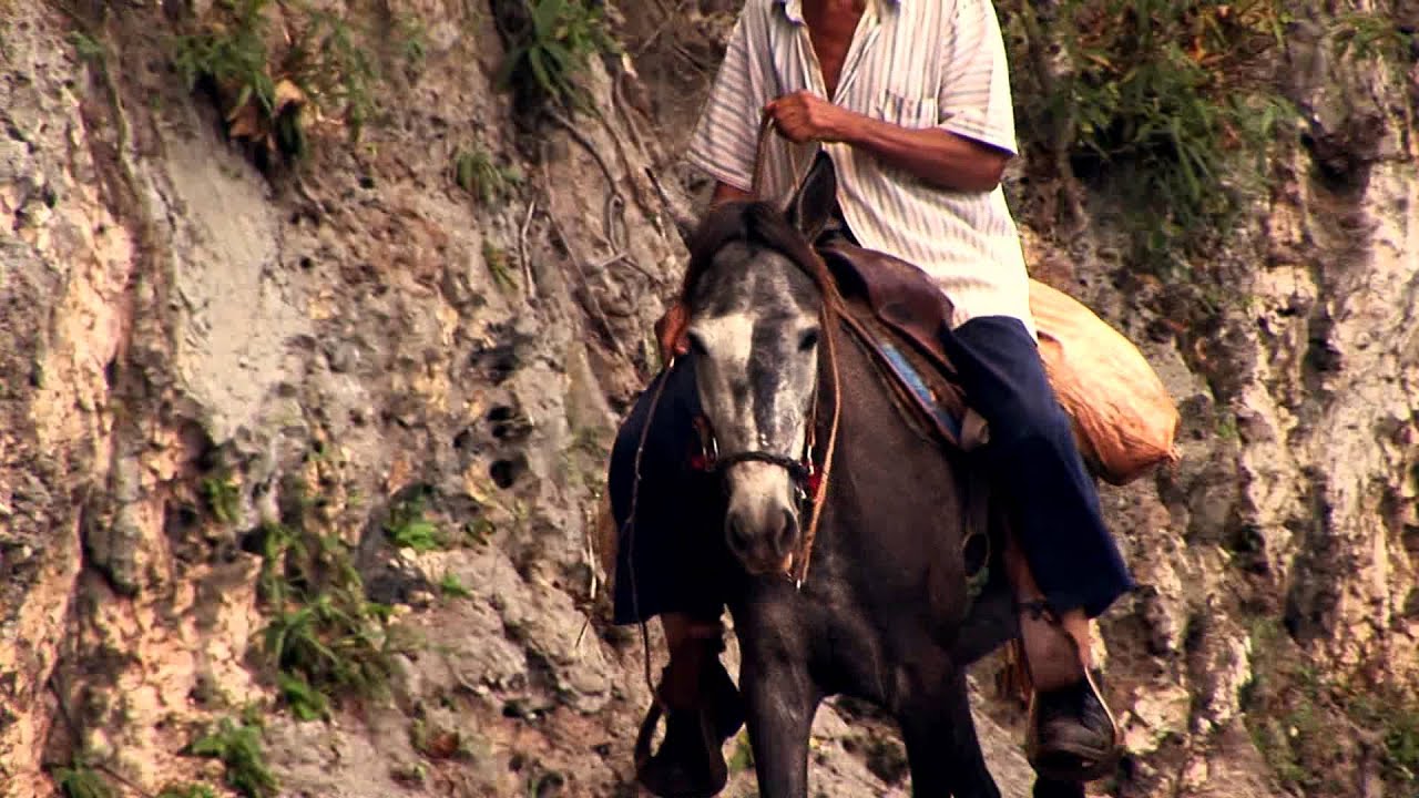 Baracoa, ciudad paisaje y paraíso natural